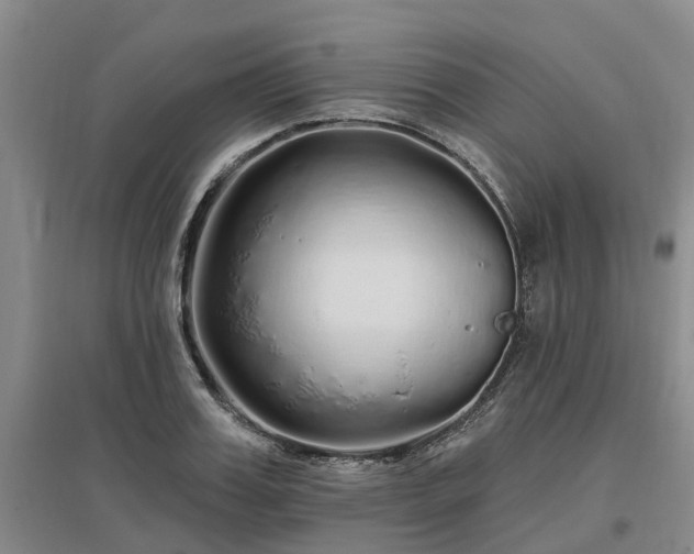 X0000096990987200802151348
