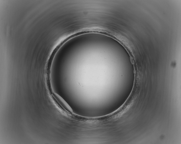 X0000096990989200802151348