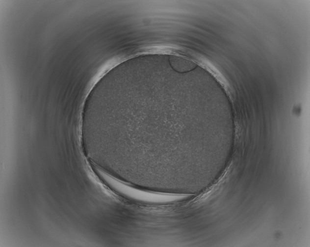 X0000096990994200802151348