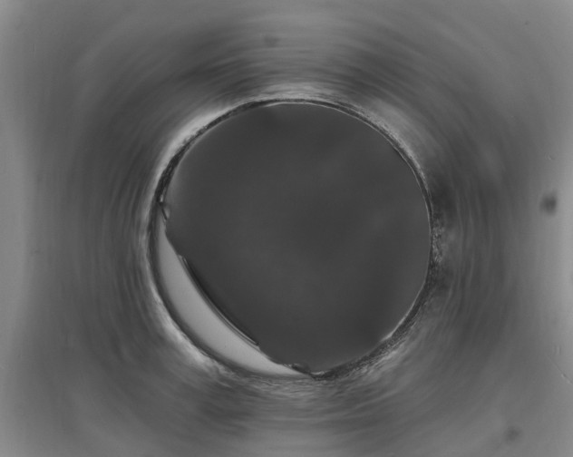 X0000096990995200802151348