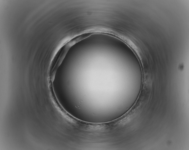 X0000096990997200802151348