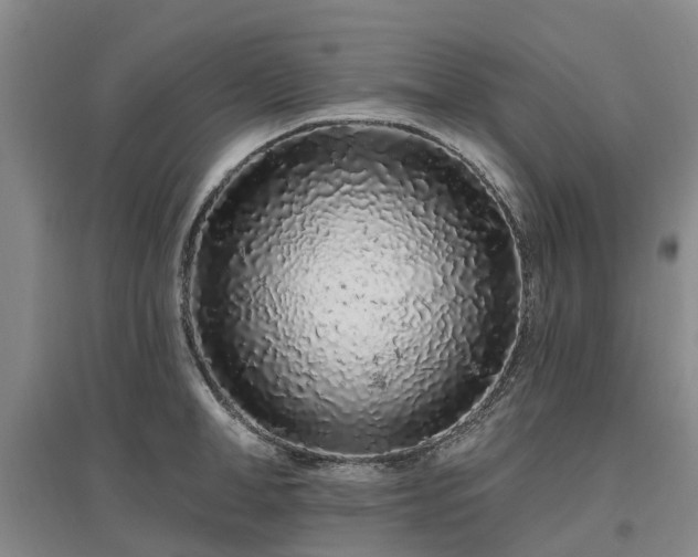X0000096990998200802151348