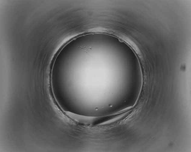 X0000096991000200802151348