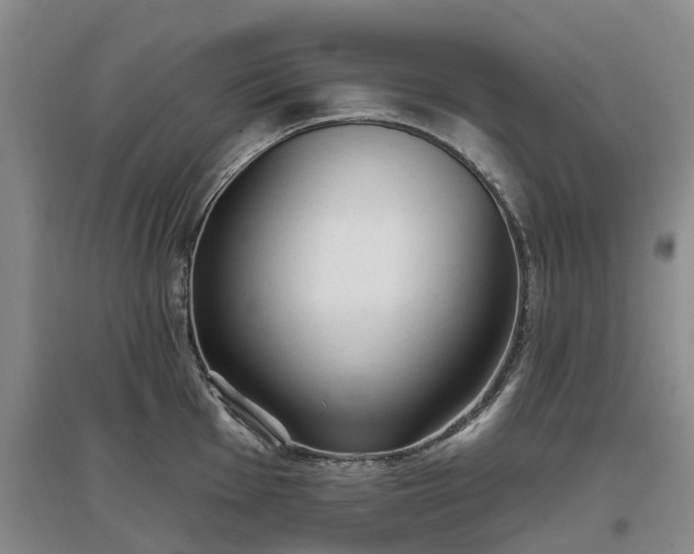 X0000096991001200802151348