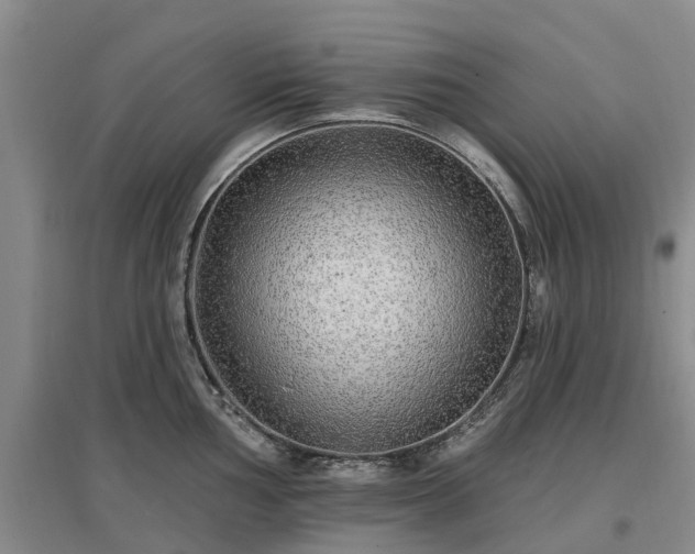 X0000096991002200802151348