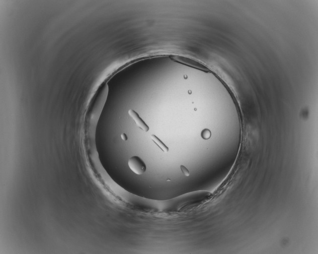 X0000096991005200802151348