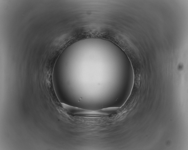 X0000096991010200802151347