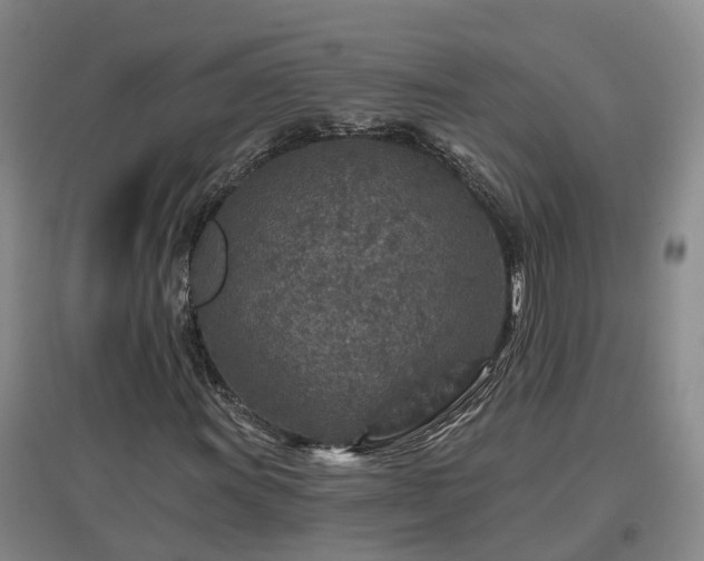 X0000096991011200802151347