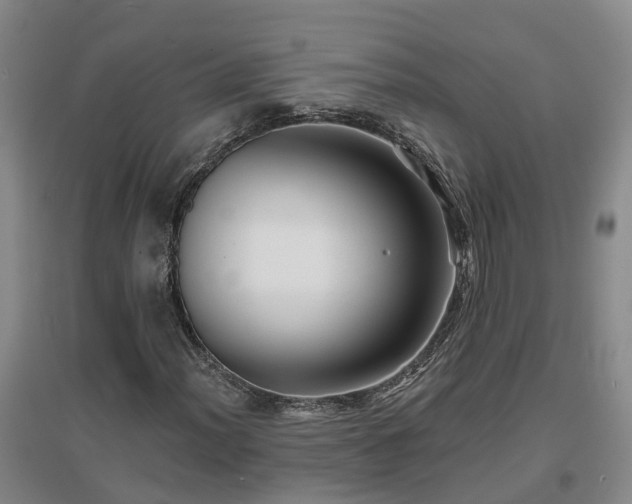 X0000096991012200802151347