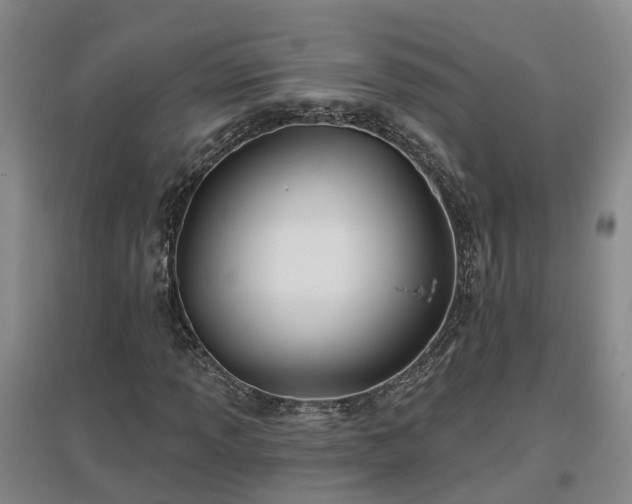 X0000096991013200802151347