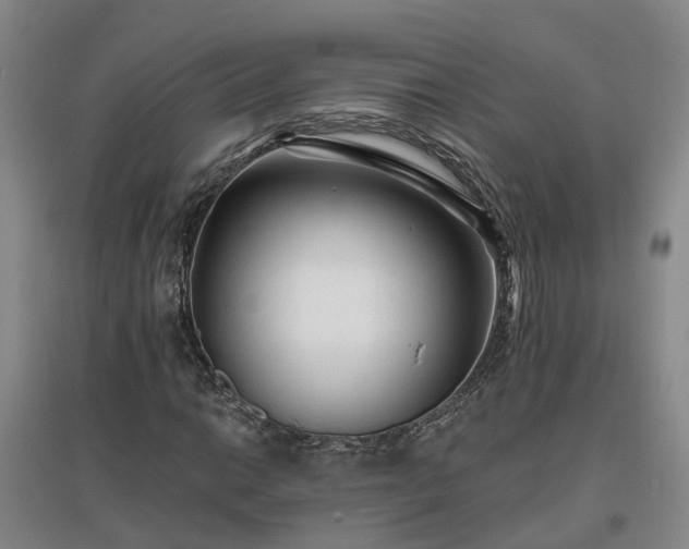 X0000096991014200802151347