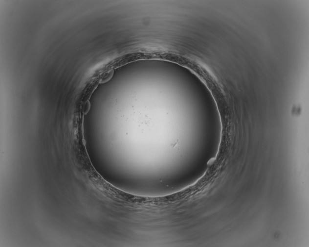X0000096991016200802151347