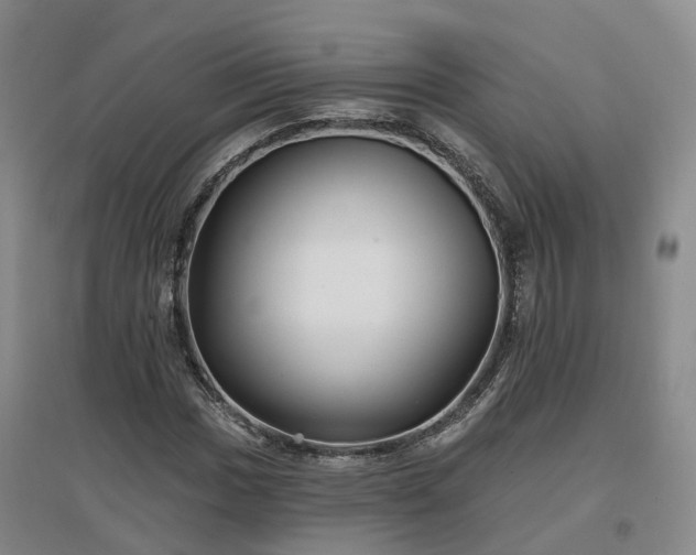 X0000096991017200802151348