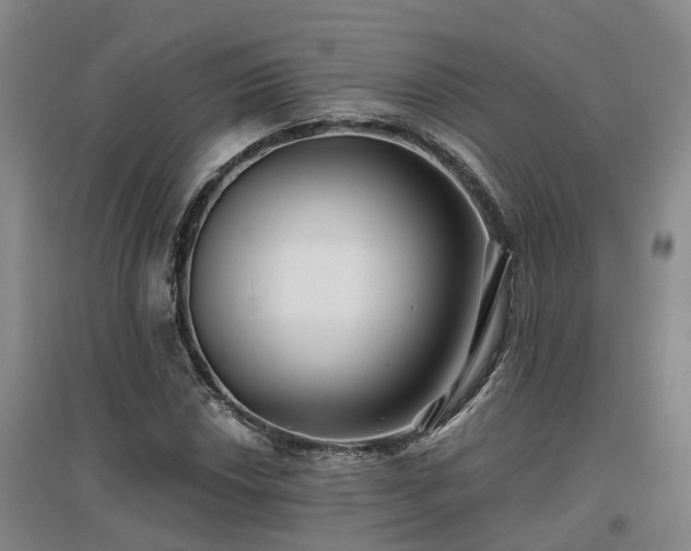 X0000096991018200802151348