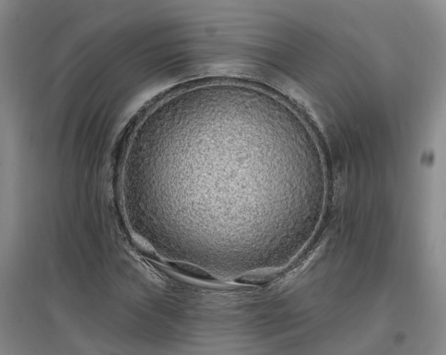 X0000096991019200802151348