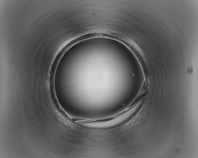 X0000096991020200802151348