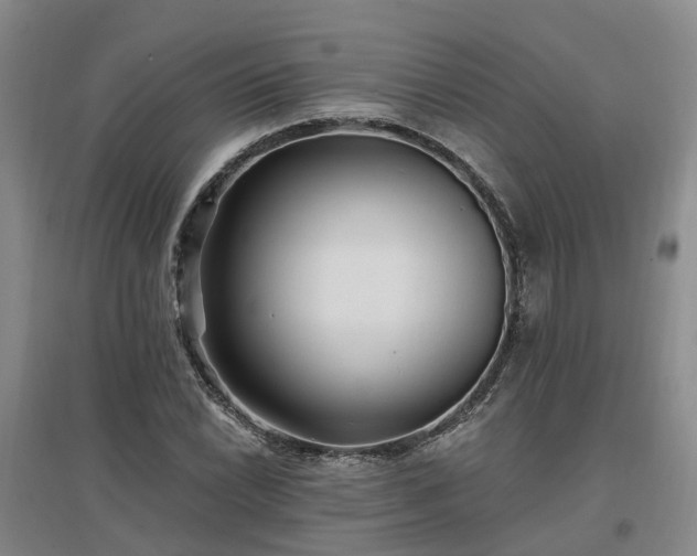 X0000096991022200802151348