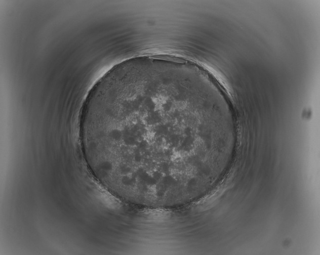 X0000096991023200802151348