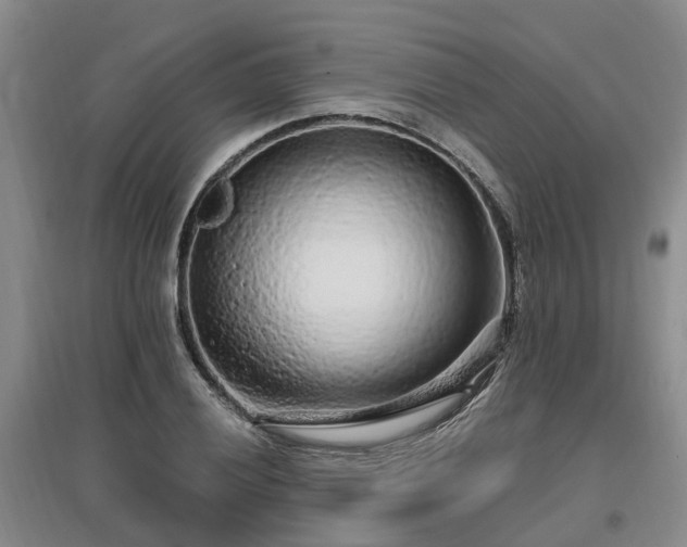 X0000096991028200802151348