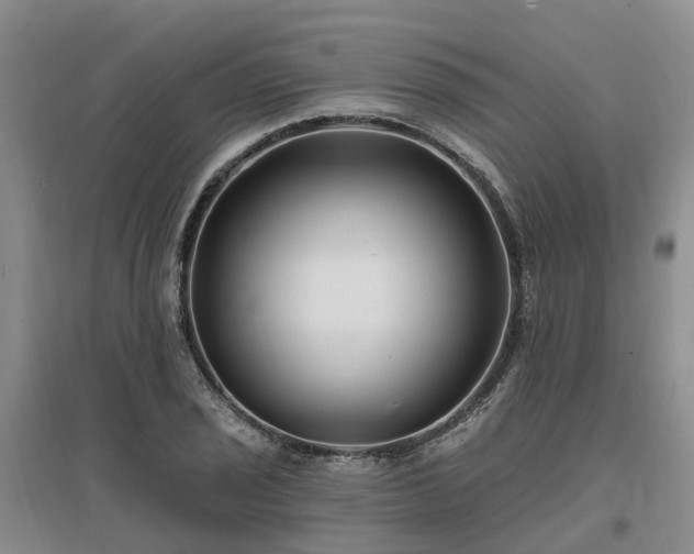 X0000096991029200802151348