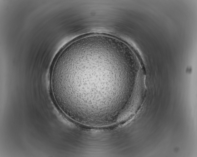 X0000096991032200802151348