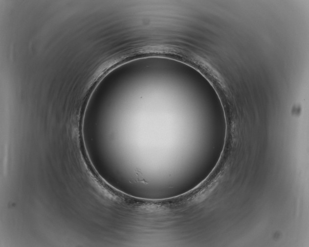 X0000096991033200802151348