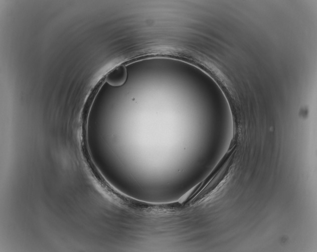 X0000096991034200802151348
