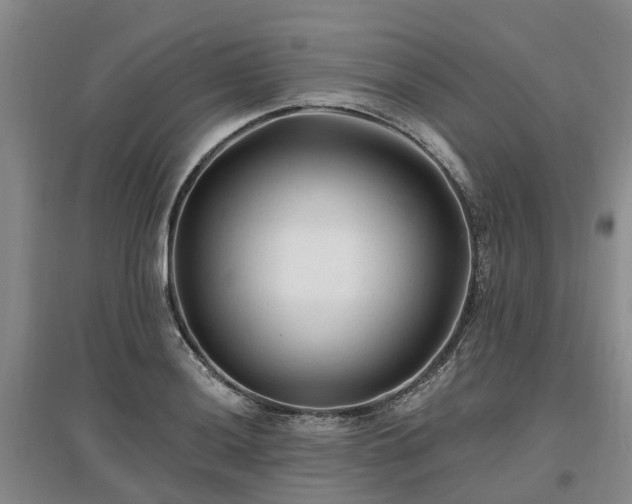 X0000096991036200802151348