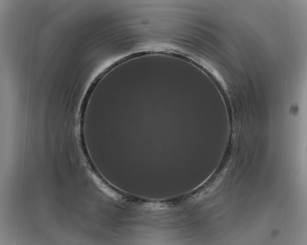 X0000096991037200802151348