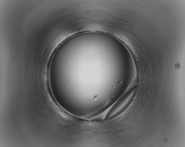 X0000096991040200802151348