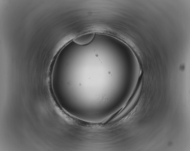 X0000096991042200802151348