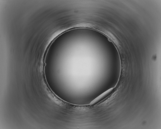 X0000096991044200802151348