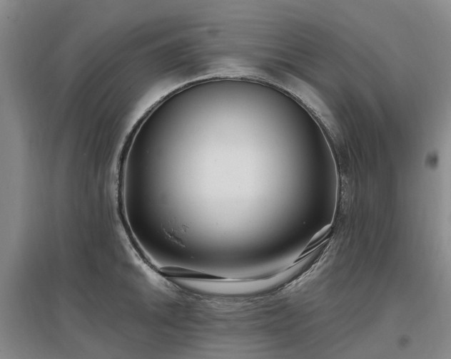 X0000096991046200802151348