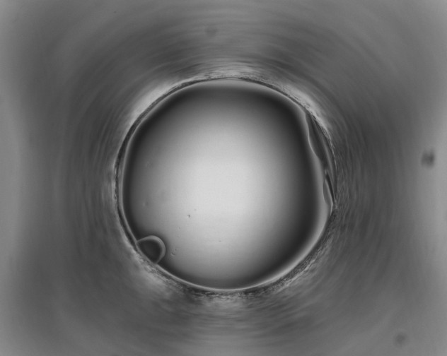 X0000096991047200802151348