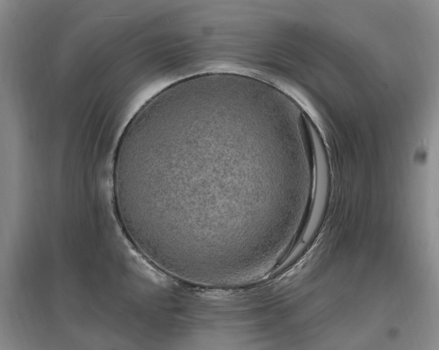 X0000096991048200802151348