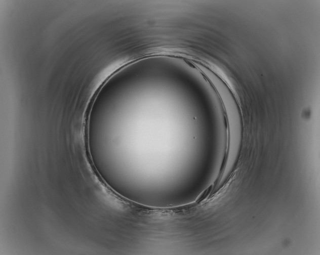 X0000096991050200802151348