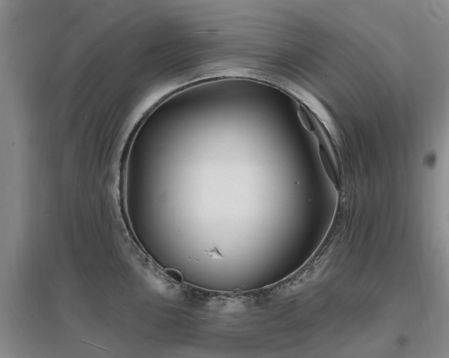 X0000096991051200802151348
