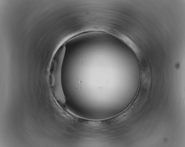 X0000096991052200802151348