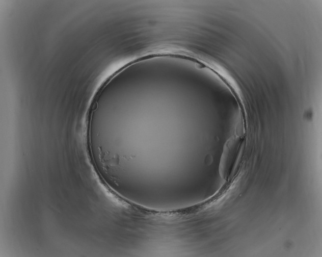 X0000096991053200802151348