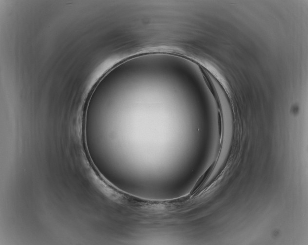 X0000096991054200802151348