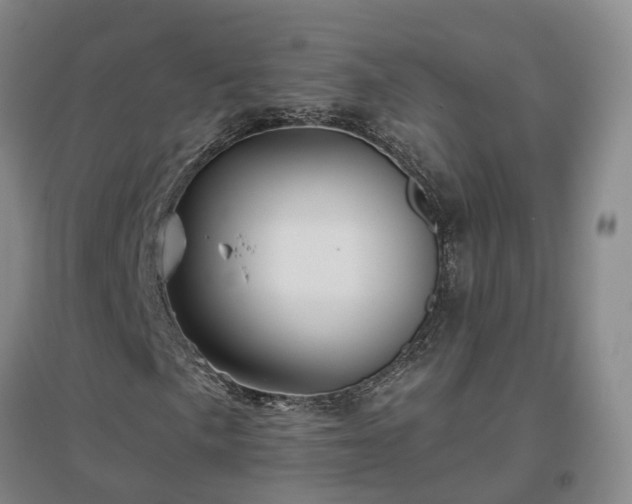 X0000096991057200802151347