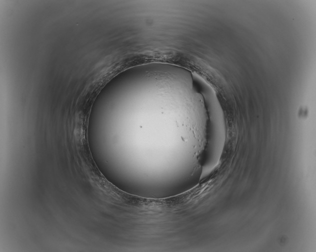 X0000096991058200802151347