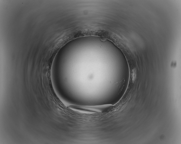 X0000096991059200802151347