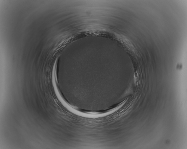 X0000096991060200802151347