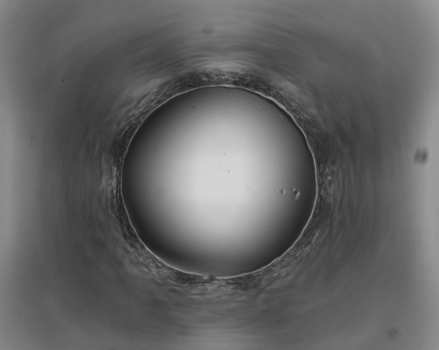 X0000096991061200802151347