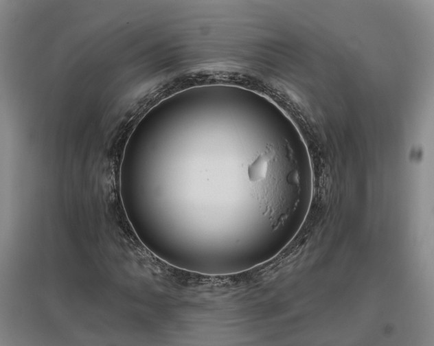 X0000096991062200802151347
