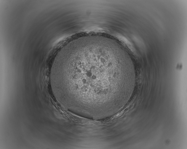 X0000096991063200802151347
