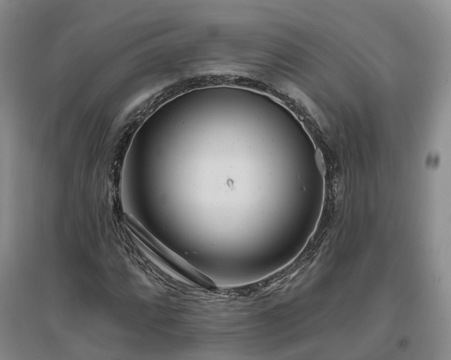 X0000096991064200802151347