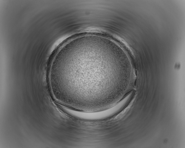 X0000096991066200802151347