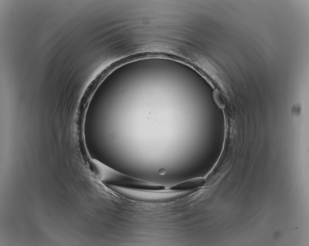 X0000096991068200802151347